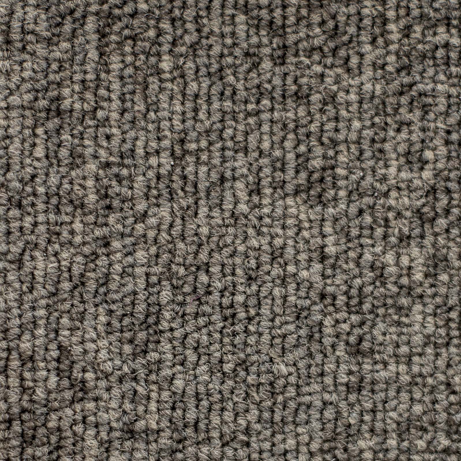 Ковролин "Зартекс" Daily 68 коричневый (4м) — купить в Симферополе