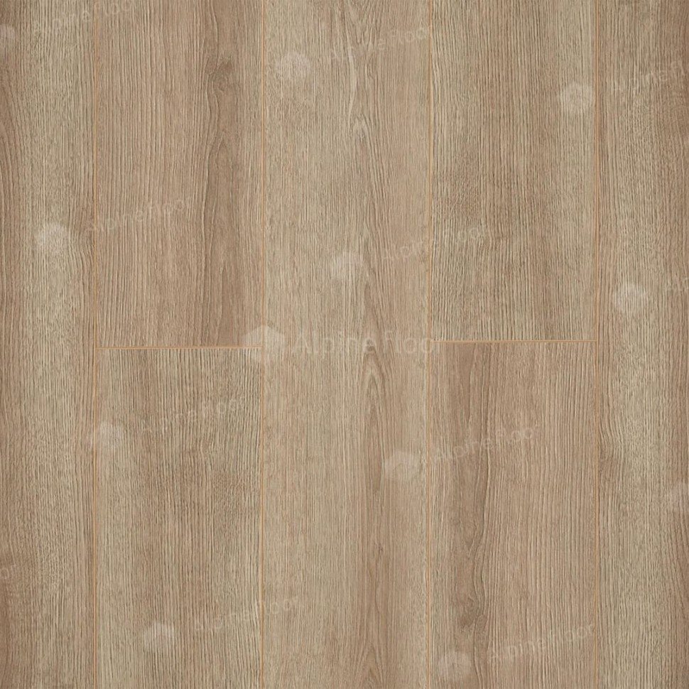Ламинат "Camsan" Дуб Кашемир (1380*190*10 мм) — купить в Симферополе