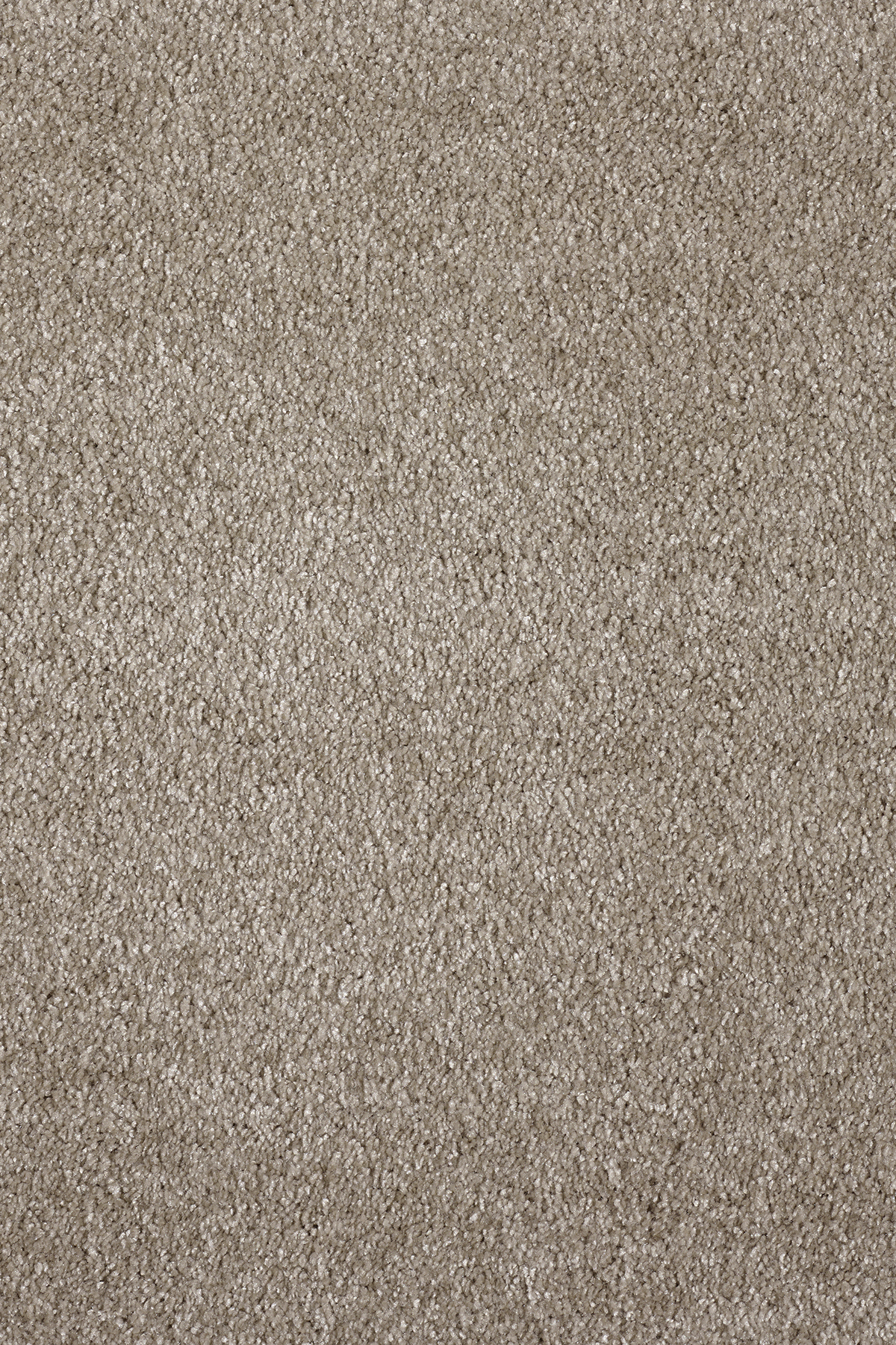 Ковровое покрытие "Bonkeel" Parana 34 (ширина 4м/5м) — купить в Симферополе