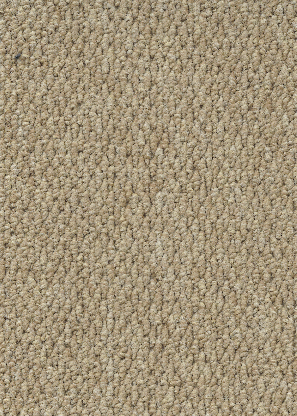 Ковровое покрытие "Bonkeel" Skye 50 (ширина 4м) — купить в Симферополе