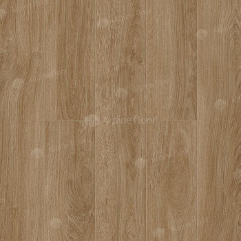 Ламинат "Camsan" Дуб Медовый (1380*142,5*10 мм) — фото и характеристики